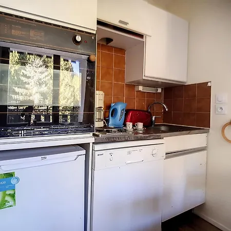 Cosy Aux Pieds Des Pistes, Balcon, Animaux Admis